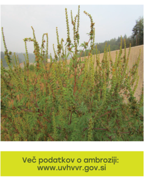 Posnetek zaslona 2026-07-28 131442