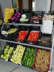 116428892_1663253143832406_8929674575893841534_n