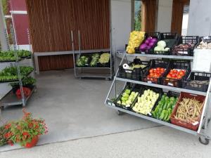 116610200_1663253200499067_2666626933424704245_n