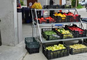 116797076_1663253077165746_1143846490903229835_n